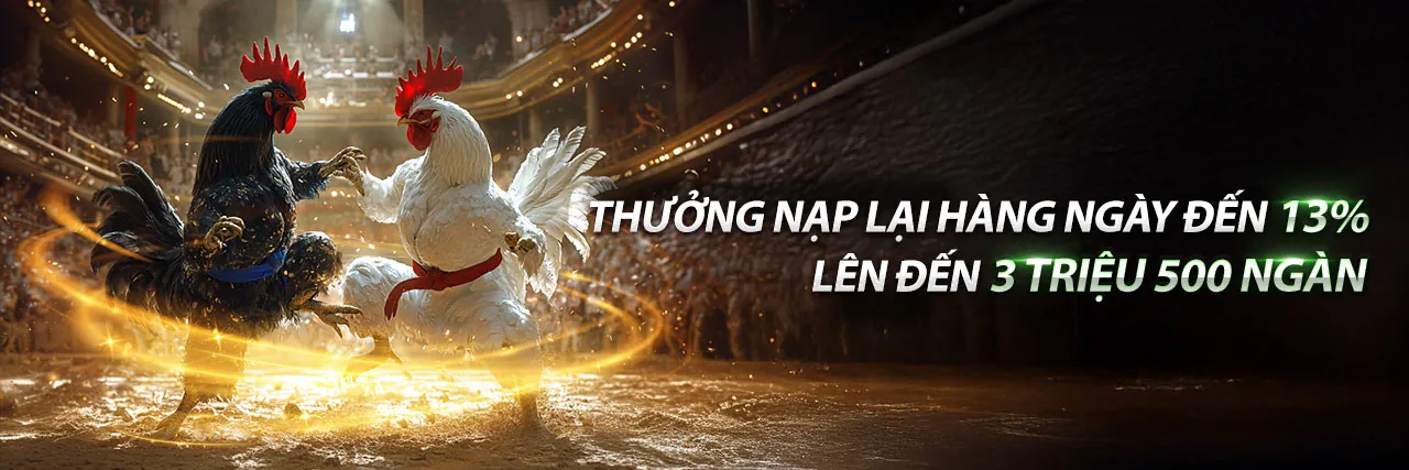 Đá gà trực tuyến kịch tính tại 55vin bắn cá